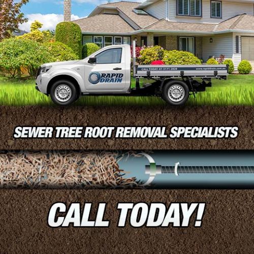 Sewer Tree Root Removal Specialists In Loganlea